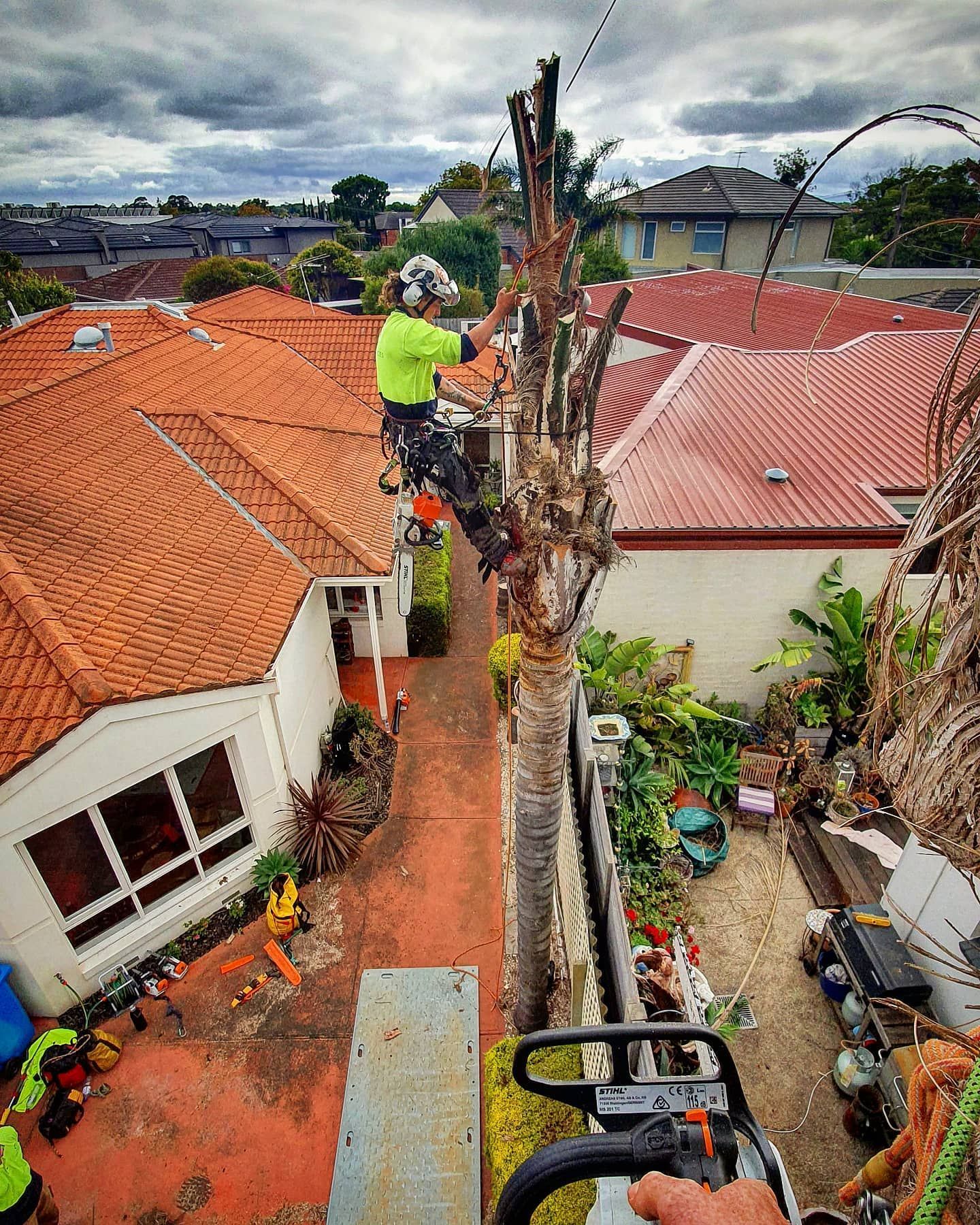 Residential Tree Removal — Melbourne, VIC — Precise Tree Services