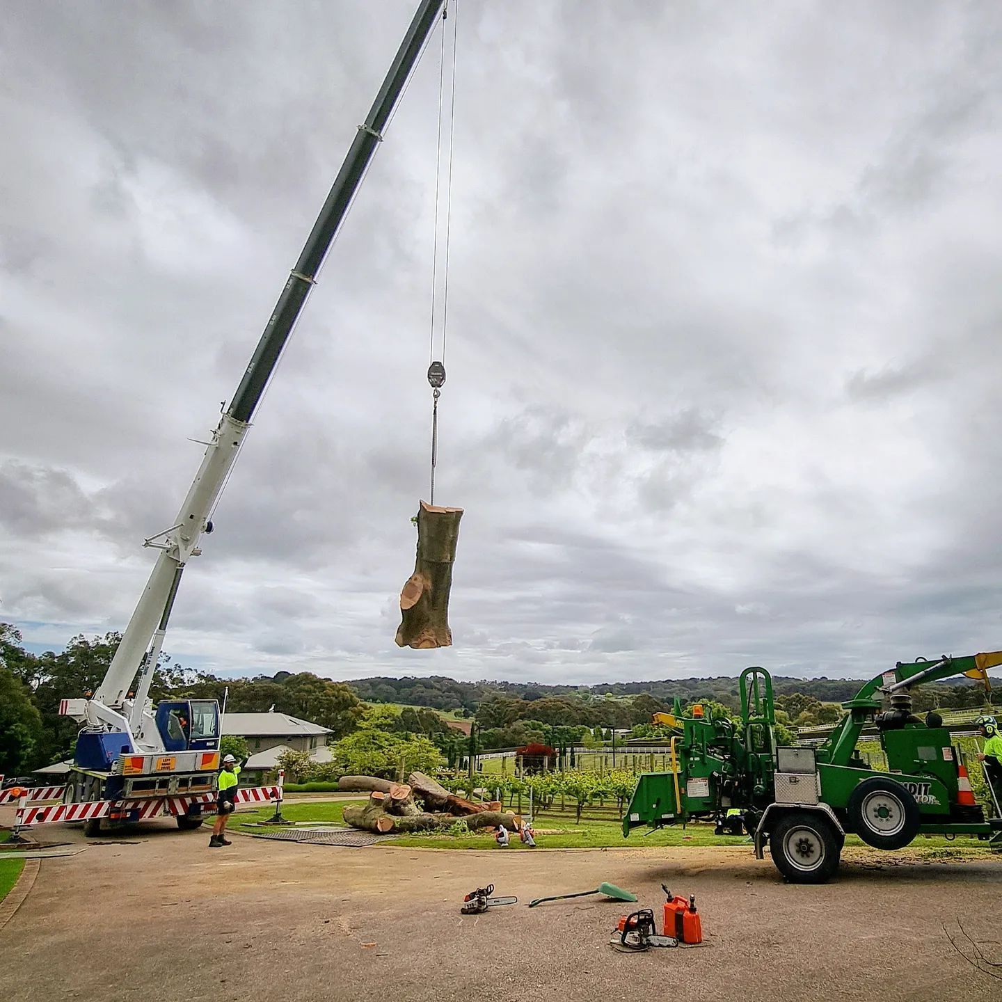 Professional Tree Removal with Crane — Melbourne, VIC — Precise Tree Services