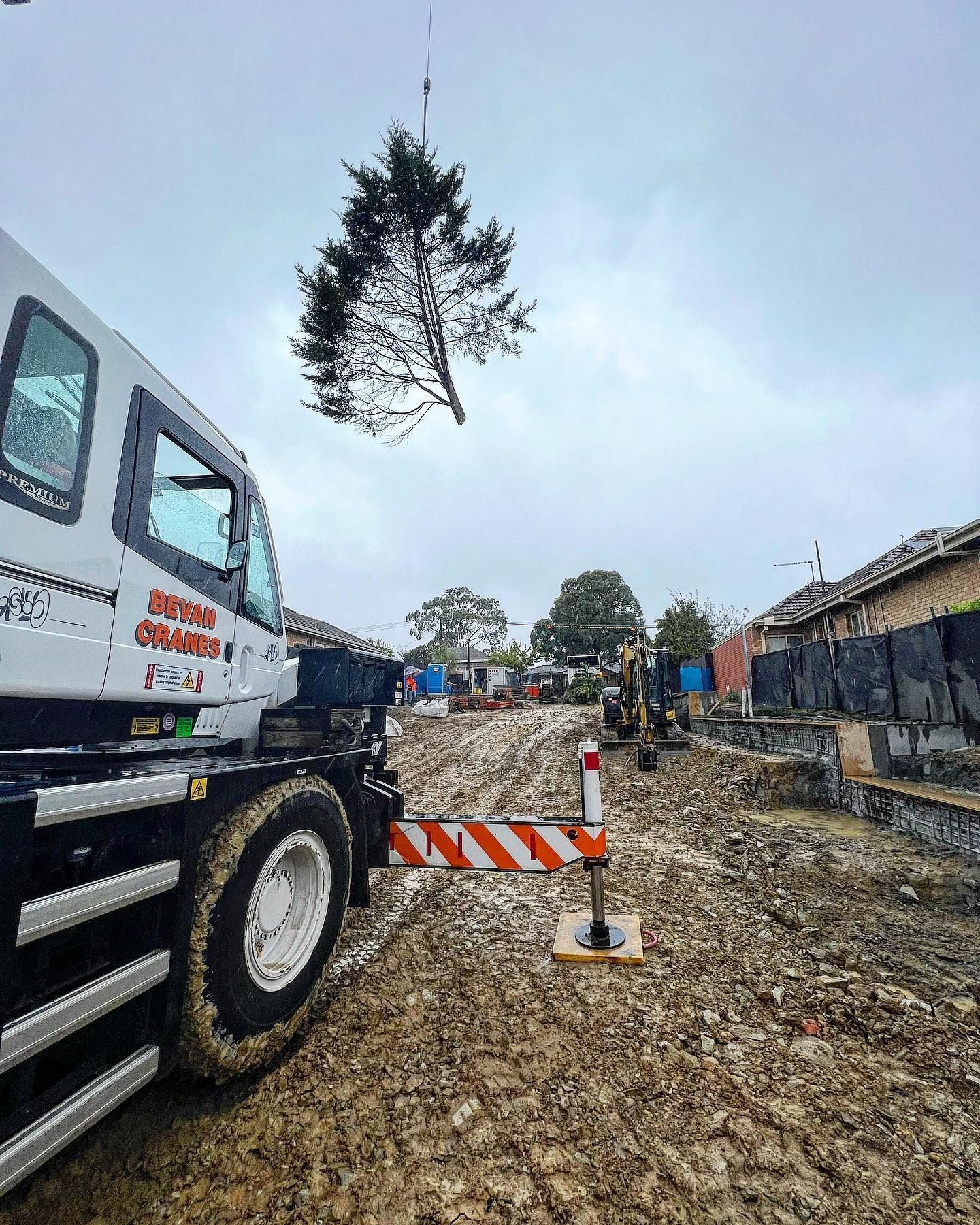 A Picture of a Crane Being Used to Help Remove a Tree — Melbourne, VIC — Precise Tree Services