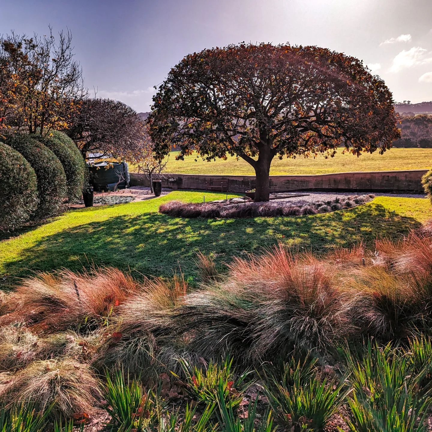 Residential Tree Removal — Melbourne, VIC — Precise Tree Services