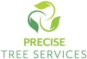 Precise Tree Service Precise Tree Service