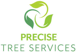 Precise Tree Service