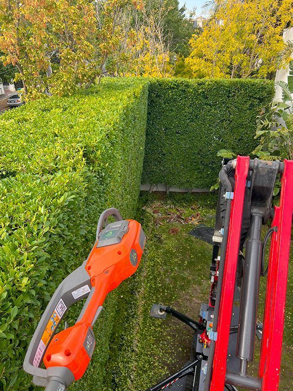 Tree Pruning — Melbourne, VIC — Precise Tree Services