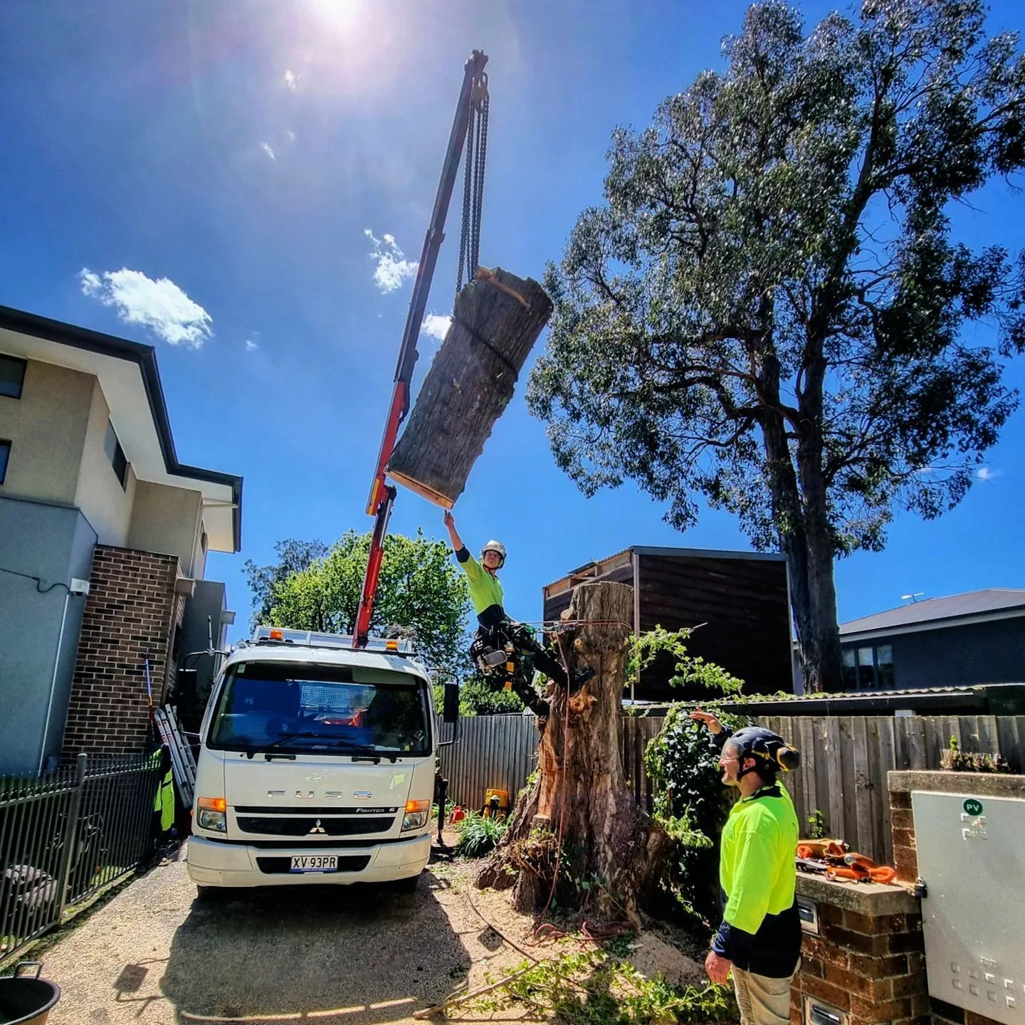 Residential Tree Removal — Melbourne, VIC — Precise Tree Services
