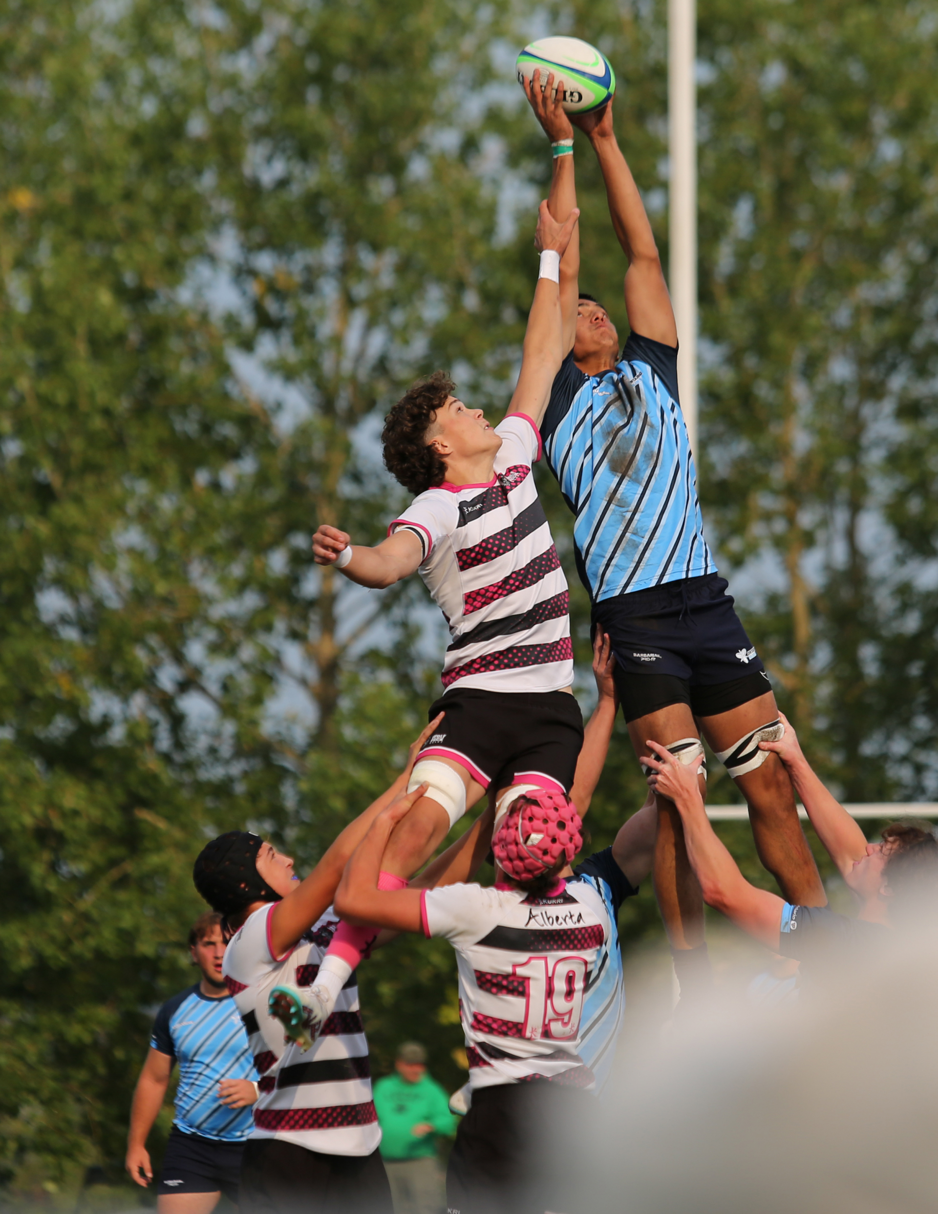 Rugby players from opposing teams jump to catch a ball lifted by teammates during a lineout on a grassy field.