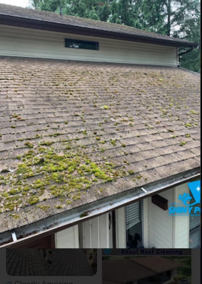 Moss-covered shingled roof with a dormer window above a house exterior