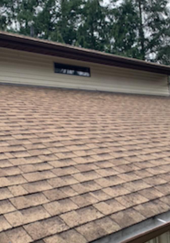 Tan shingle roof with a small vent window below tall trees