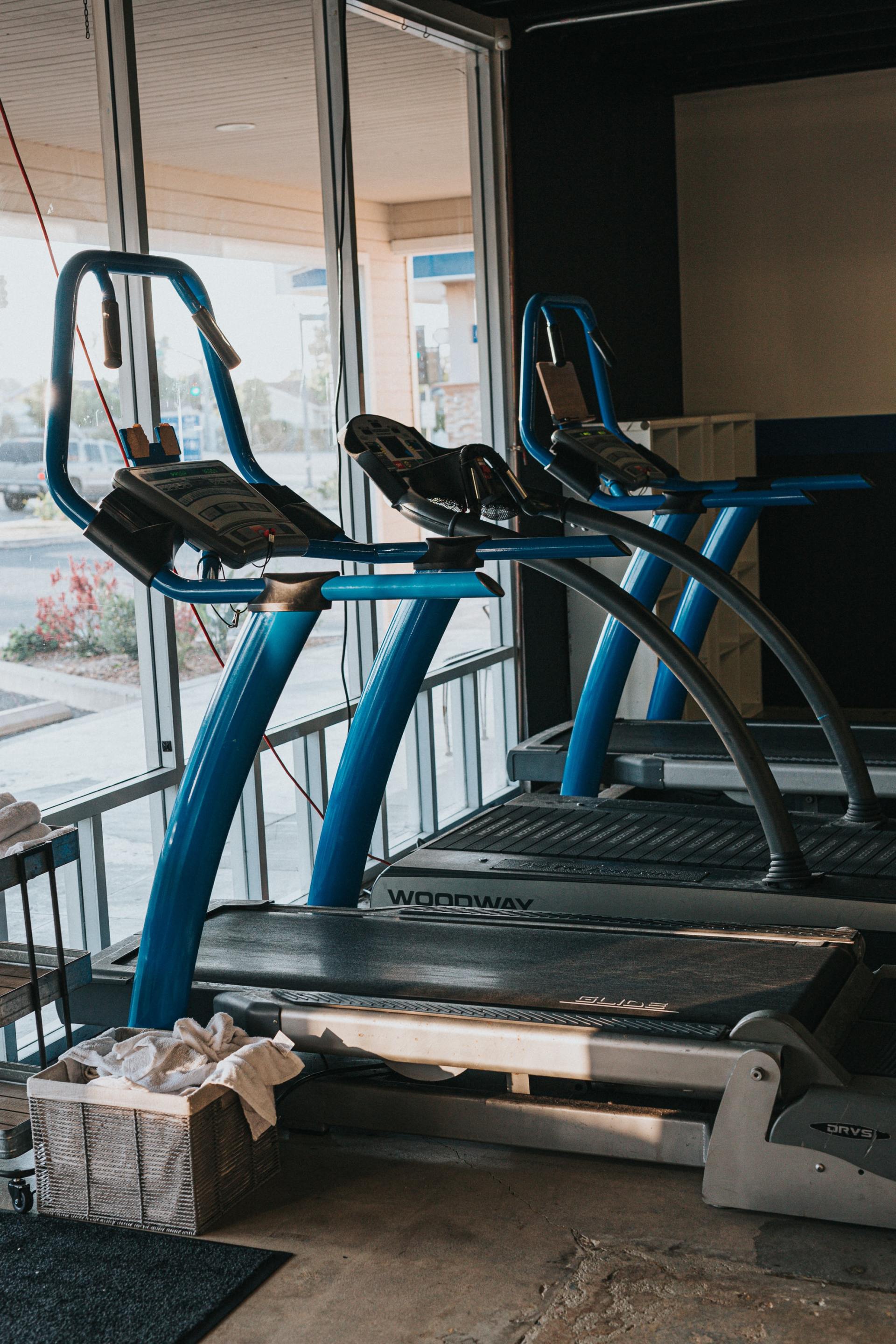 A row of treadmills in a gym next to a window.