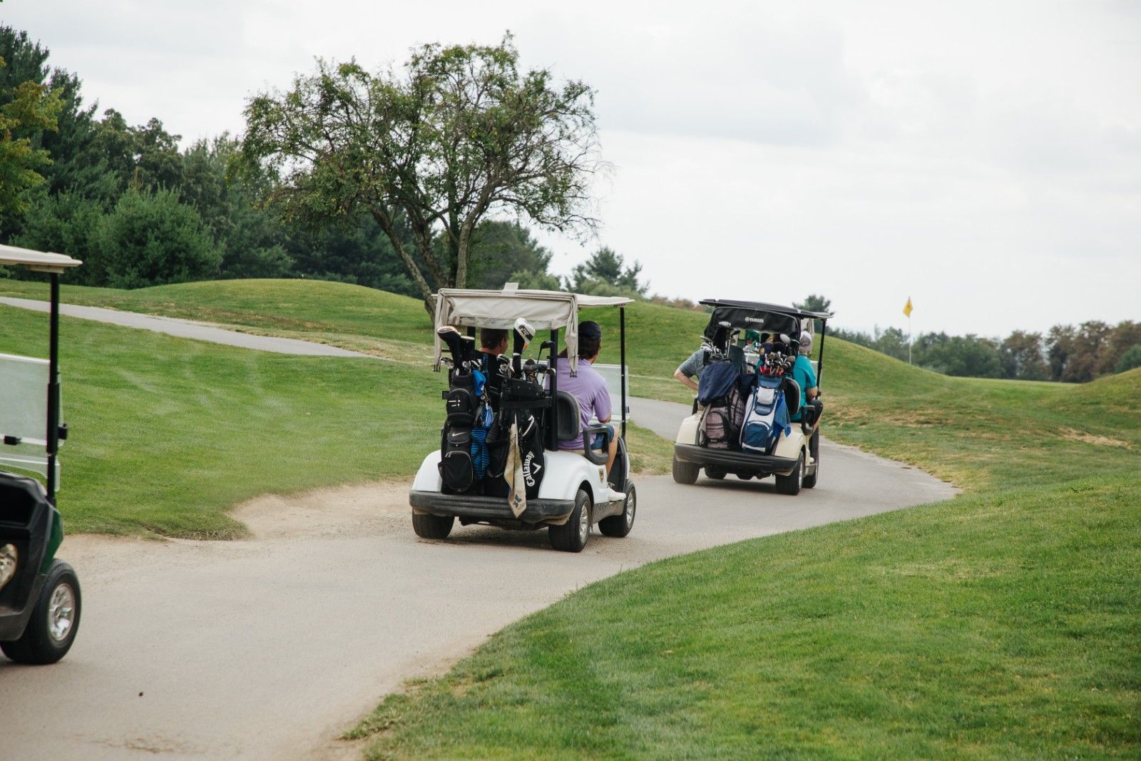 A group of golf carts are driving down a path on a golf course.