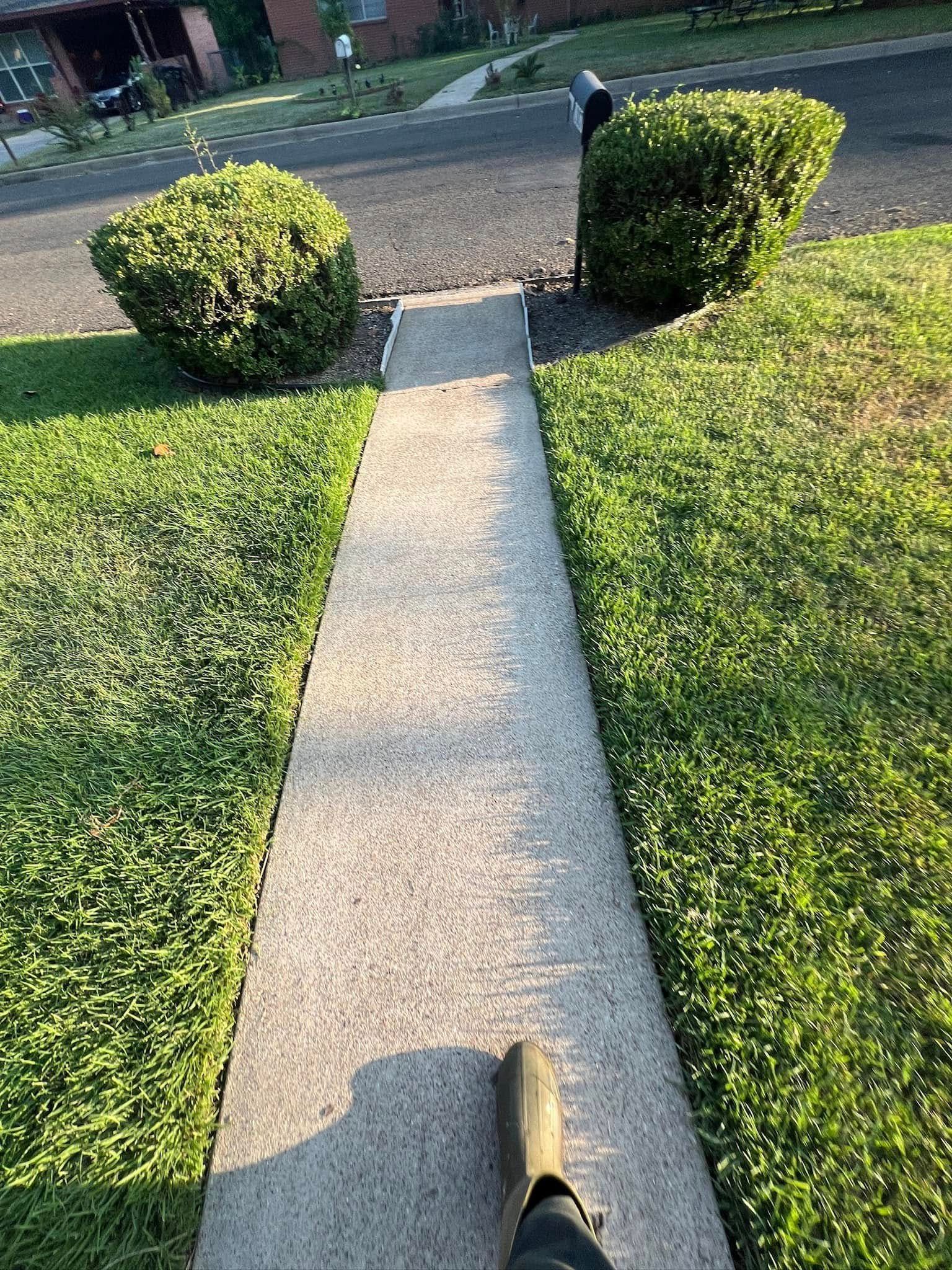 Person walking on a concrete sidewalk with green grass and bushes on either side.