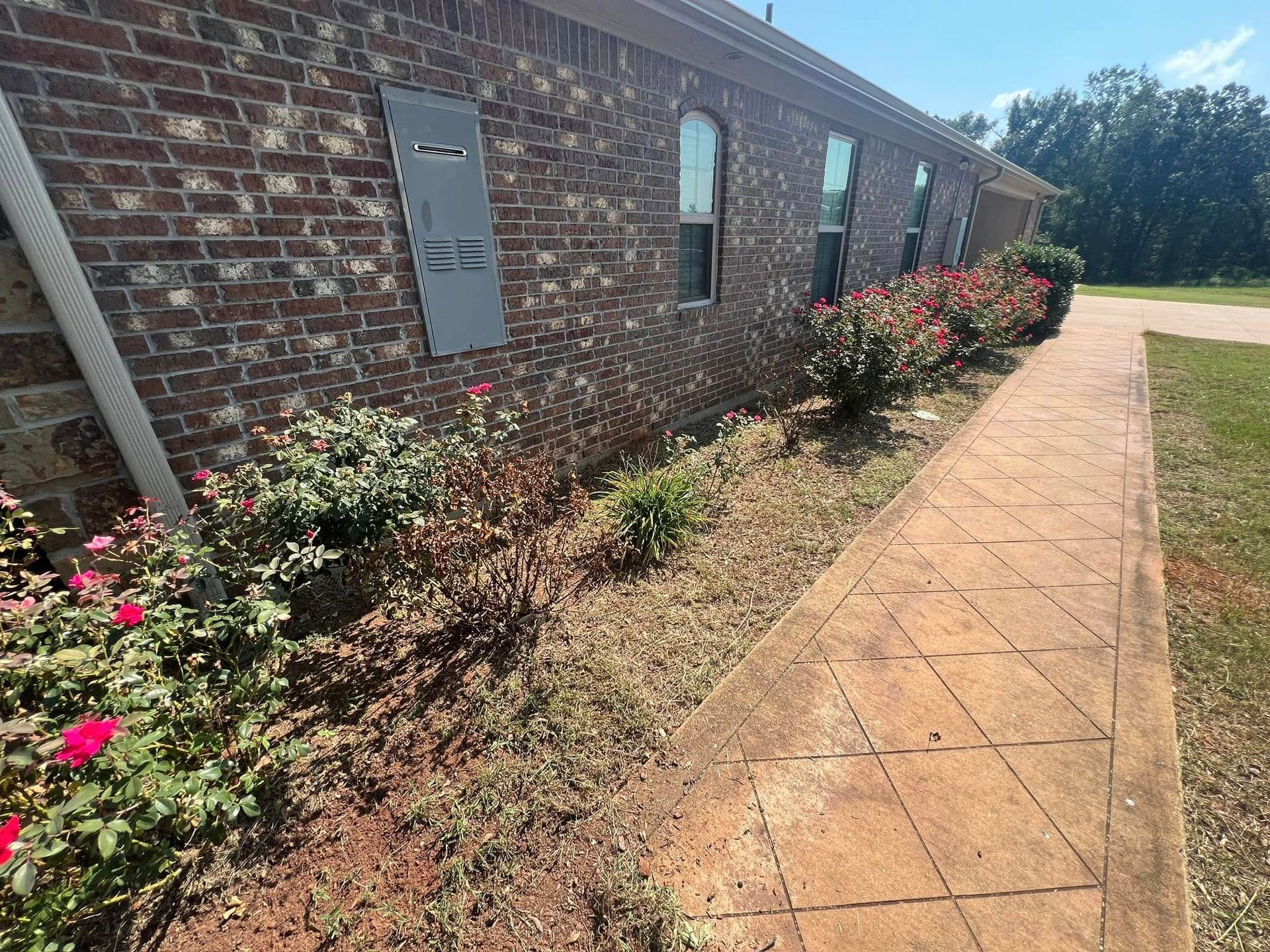 Brick house with a concrete path, flower bed with bushes.