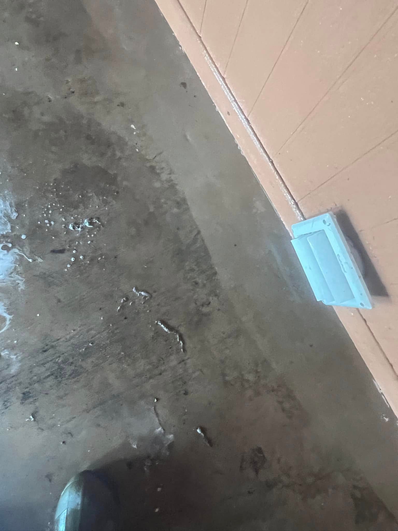 Wet concrete floor with water and small fish; an outlet on an orange-brown wall is in view.