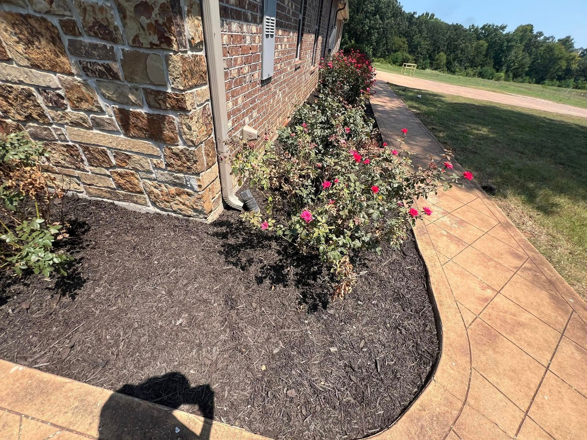 Brown brick house exterior with red roses in mulch along a sidewalk.