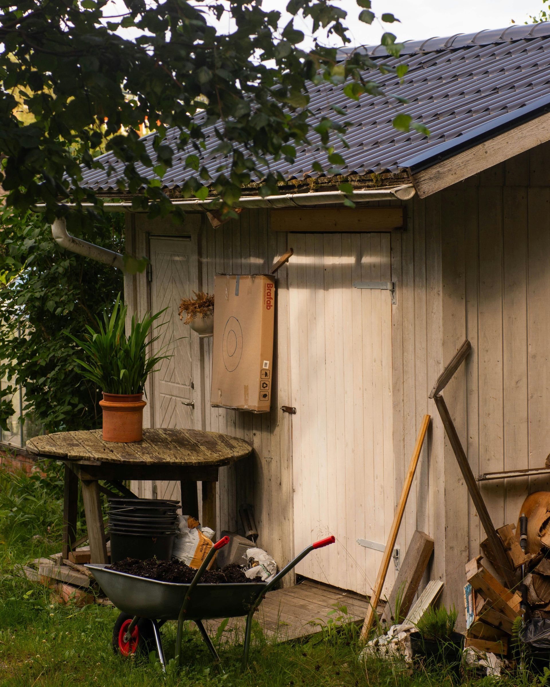 White shed with a potted plant, wheelbarrow, and firewood outside in a green yard.