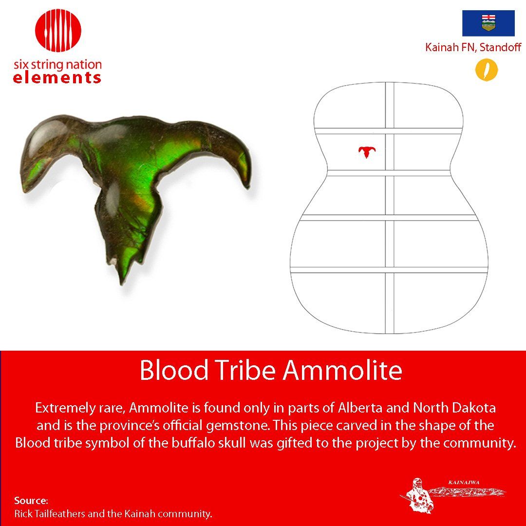Blood Tribe Ammolite Kainah FN