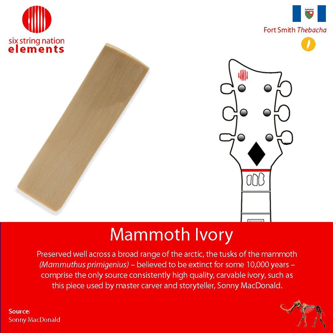 Mammoth Ivory