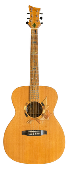See all the pieces that make up the guitar