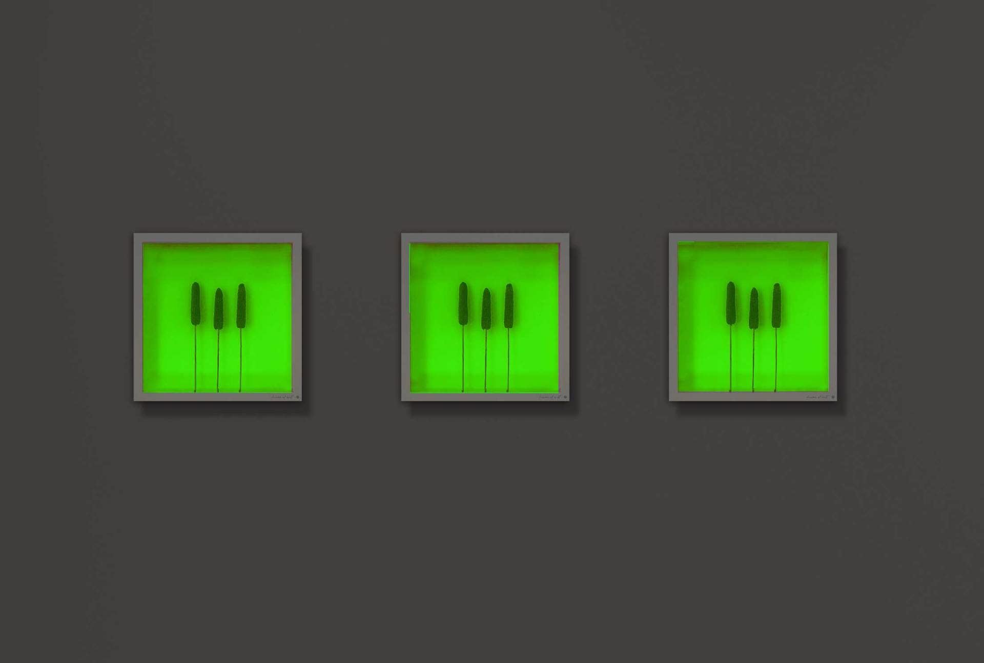 Rahmen-Set mit LED-Beleuchtung