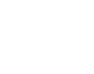 logo_the solution hair