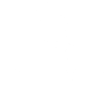 logo_the solution hair 