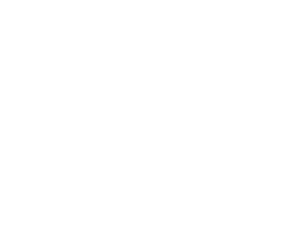 logo_the solution hair 