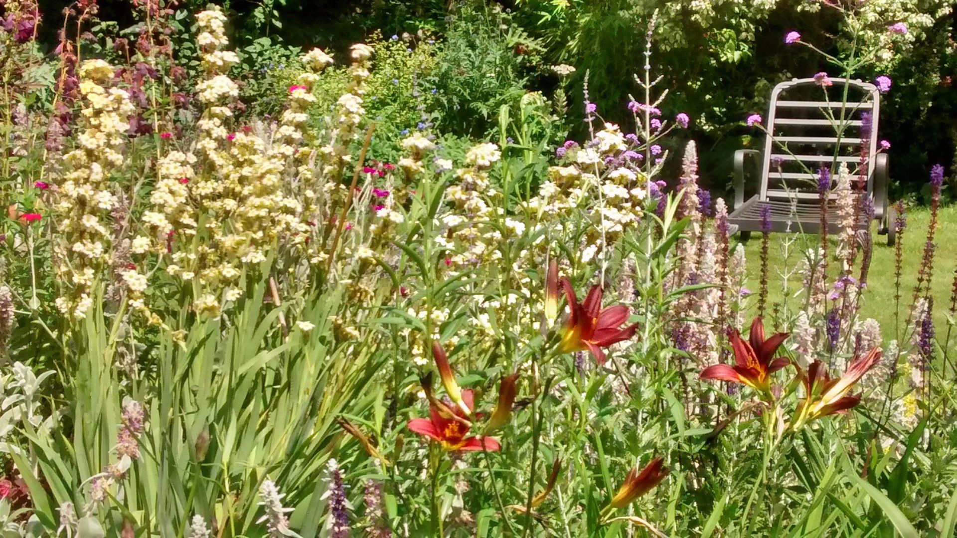 Garden design London, Camden