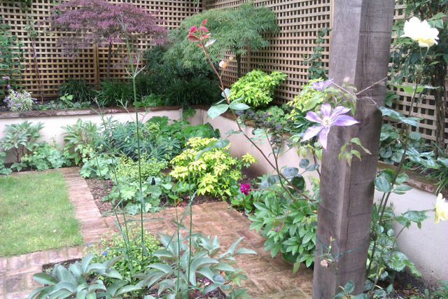 Clapham garden one year later full of interesting, colourful  plants