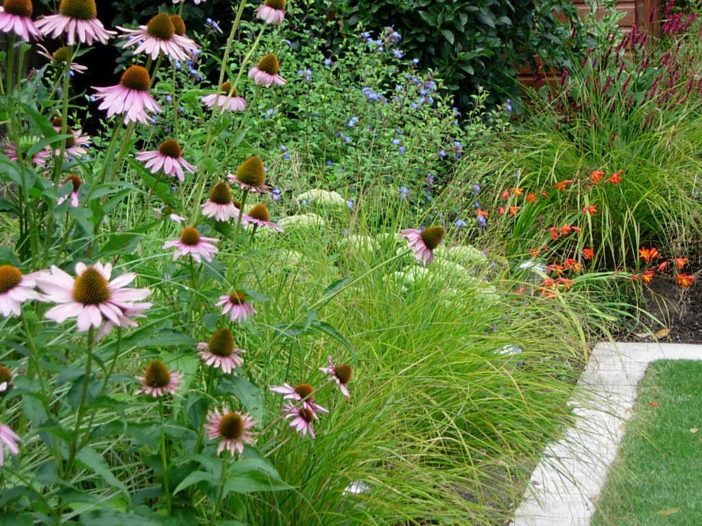 Garden design London, Hackney