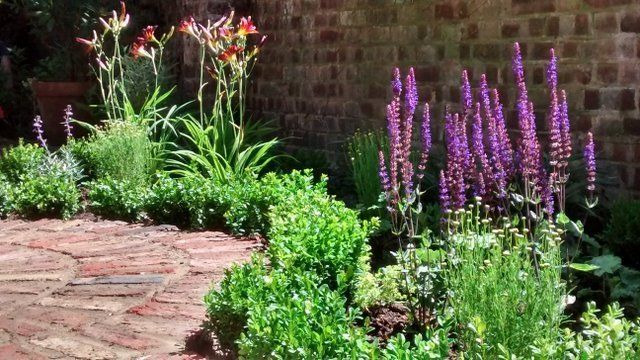 Garden design London, Islington