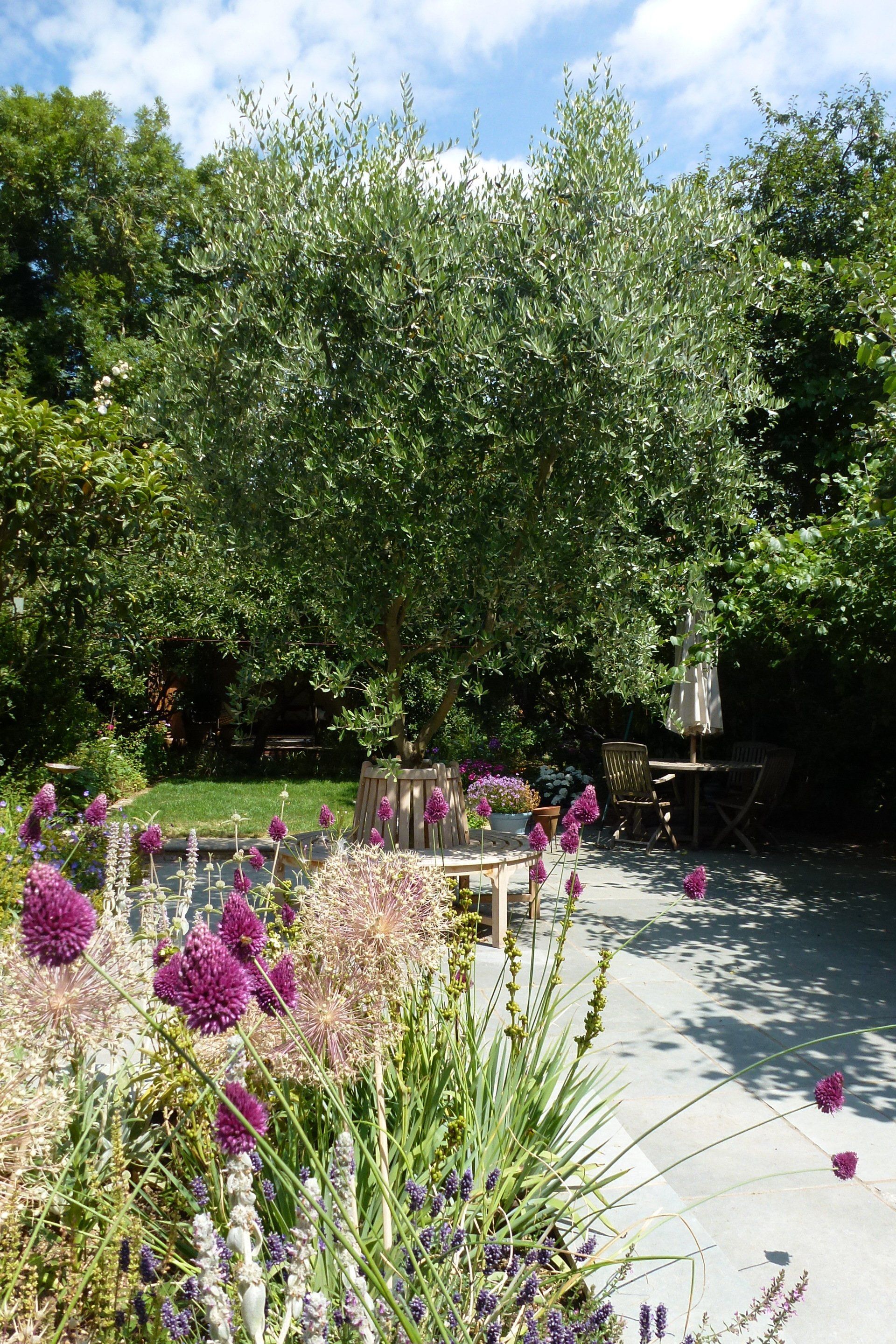 London garden design, Finchley