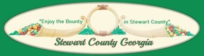 Georgia Process Server Directory