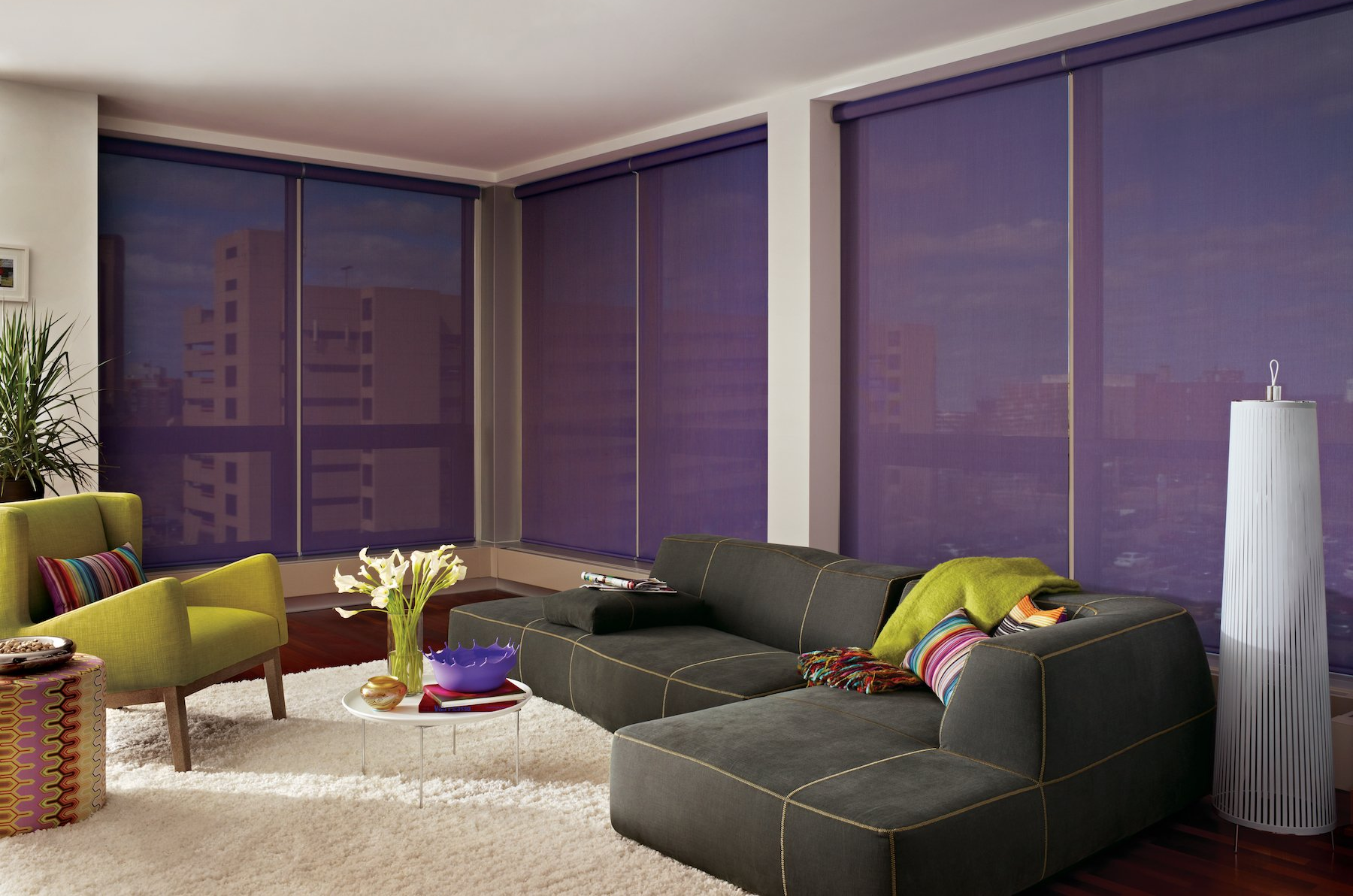Hunter Douglas Designer Screen Shades