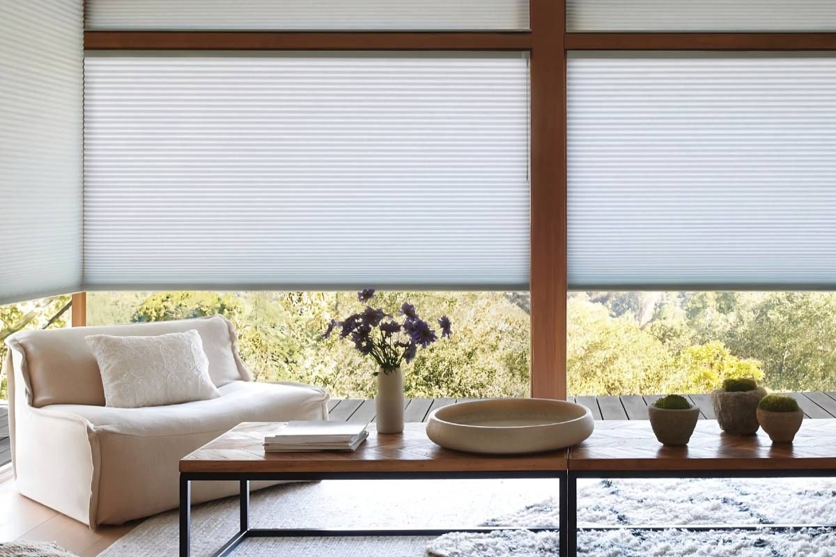 Hunter Douglas Duette® Cellular Shades are energy-efficient shades on a large living room window at Harmony Blinds & Shutters near San Diego, CA