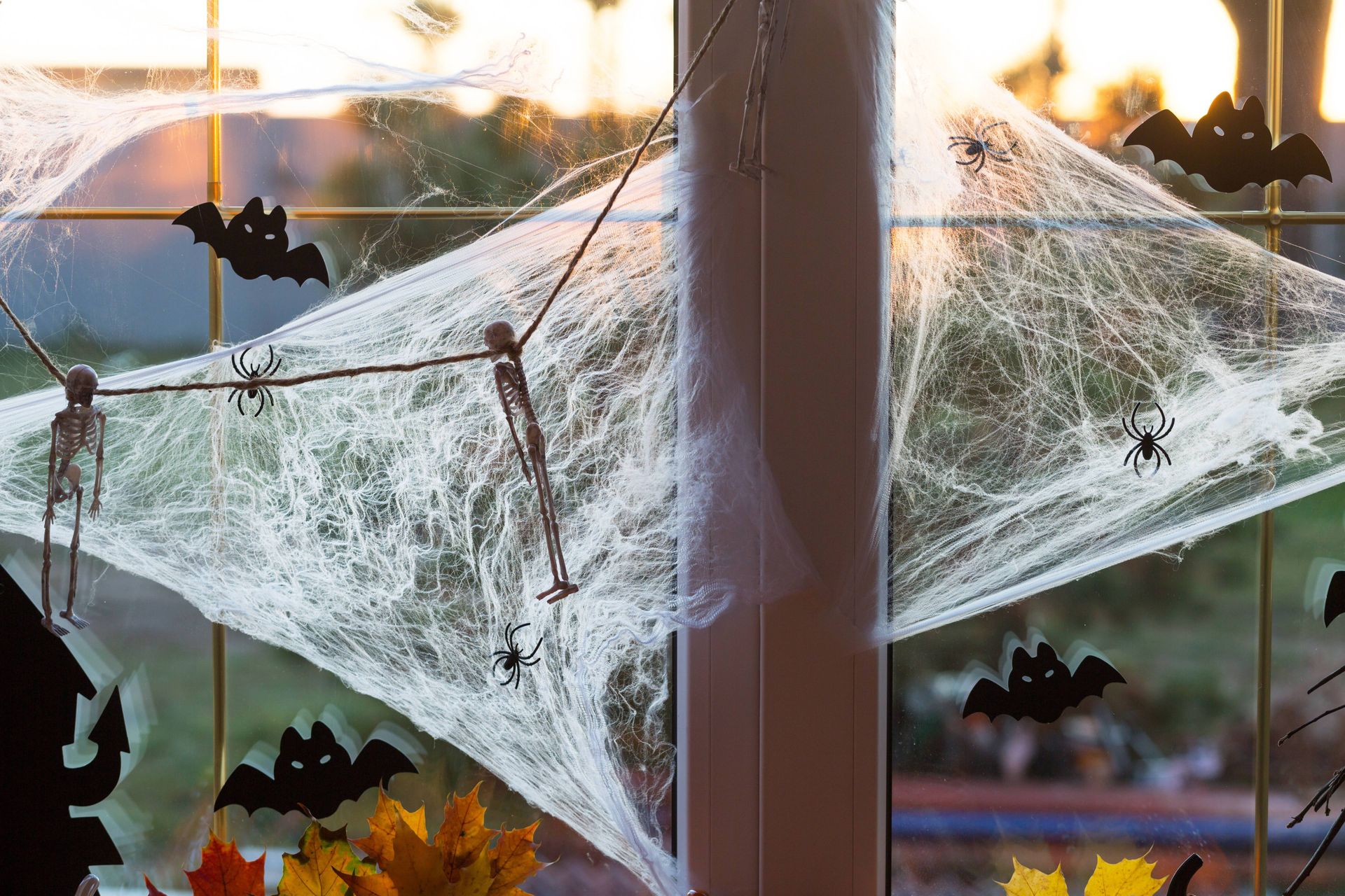  Faux spider webs, bats, and skeletons as autumn window decor on a residential window at sunset at H