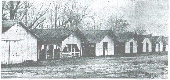 A historical black-and-white photo showing a row of small, simple wooden cabins or sheds in a grassy field.