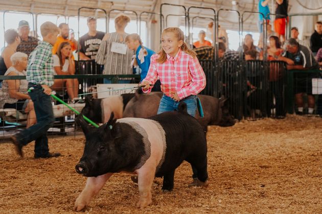 Two people in Western-style attire converse inside a livestock show ring, with a crowd seated in bleachers behind them.