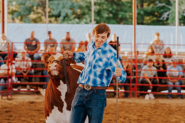 A young person in a blue plaid shirt leads a brown and white cow in a show ring with spectators in the background.
