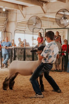 Two people in Western-style attire converse inside a livestock show ring, with a crowd seated in bleachers behind them.