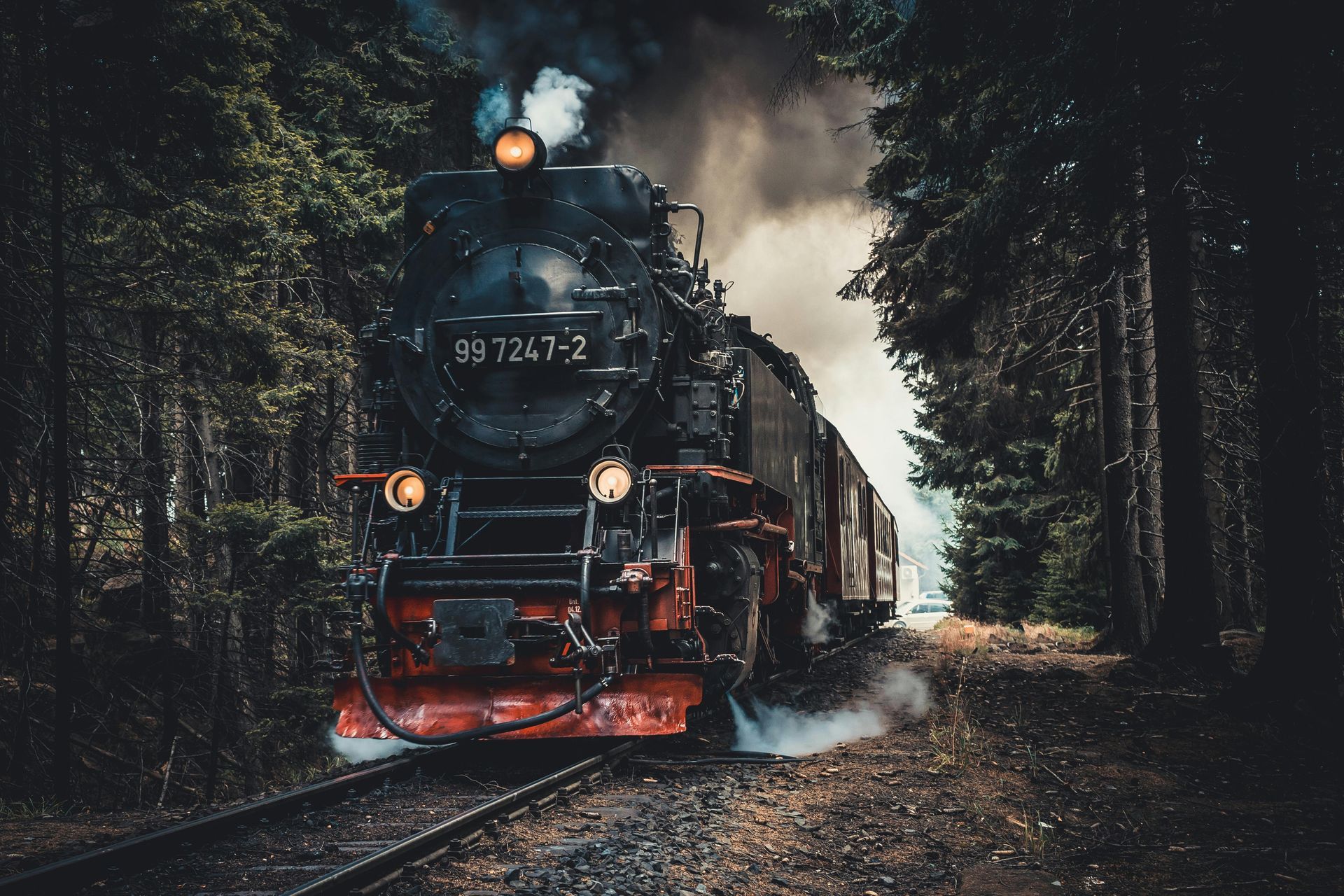 A black steam locomotive, marked 86 1247-2, travels along a narrow track through a dense, dark forest with visible steam.