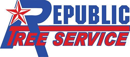 Republic Tree Service | San Antonio's #1 Tree Service Company