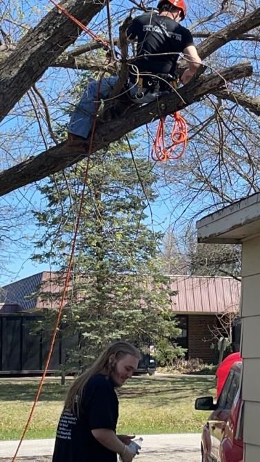 a person is cutting a tree branch with a pair of scissors