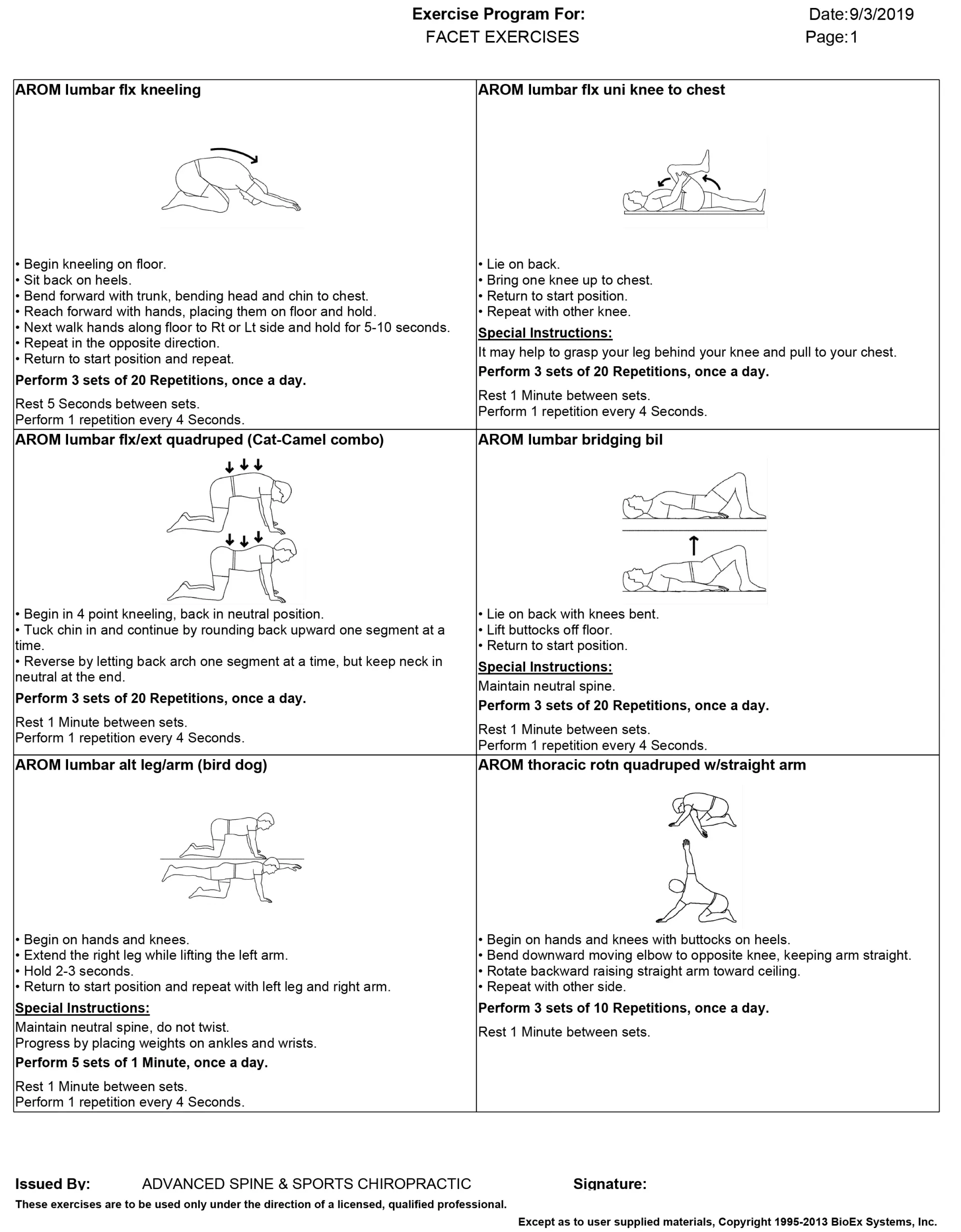 Workout plan: exercises, diagrams, and instructions for upper and lower body workouts.
