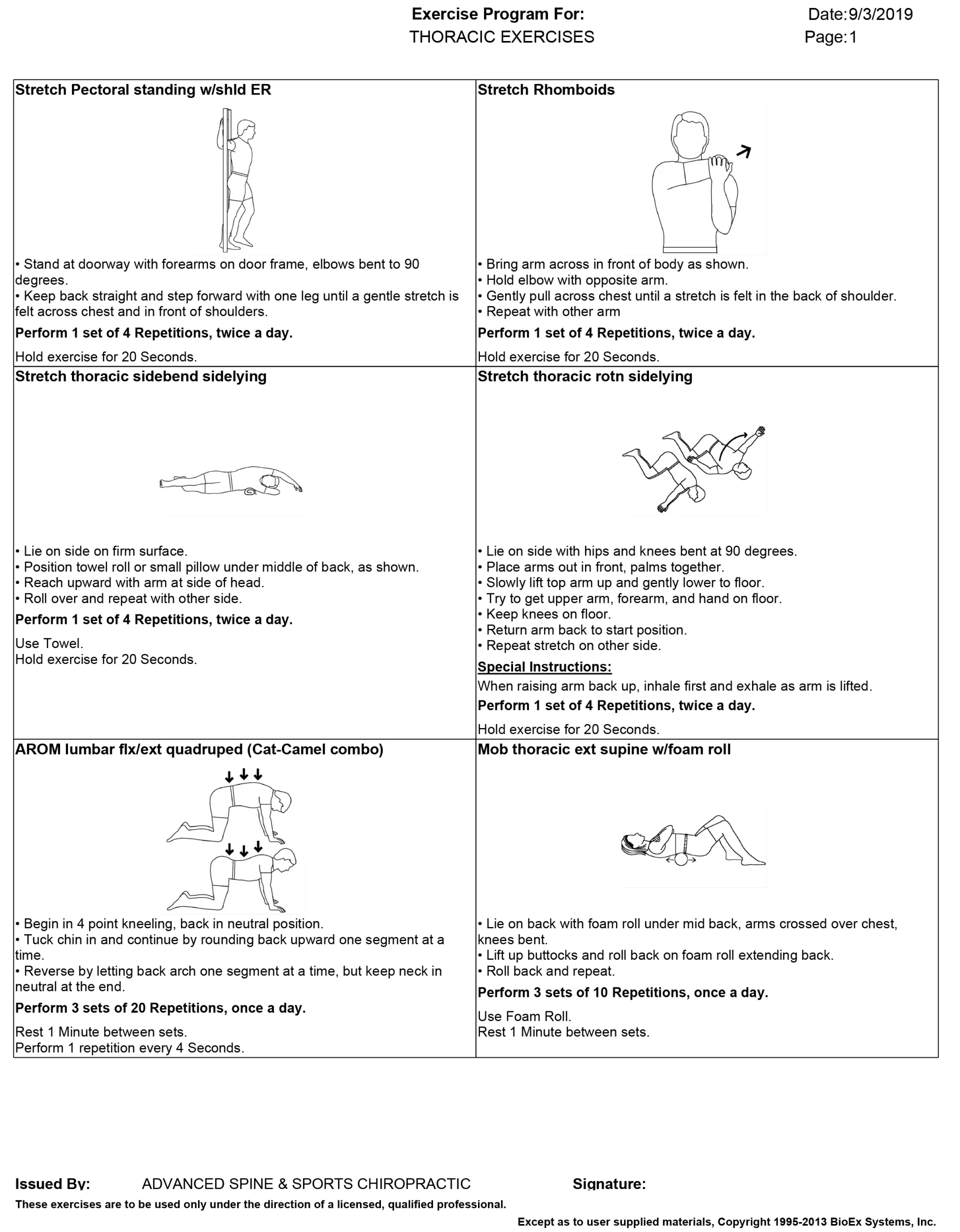 Generic Exercise Plan. Illustrations of various exercises, instructions included.