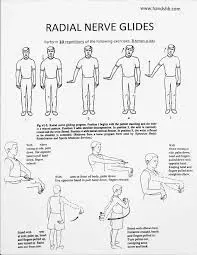 Diagram illustrating radial nerve glide exercises; shows arm movements and positions for rehabilitation.