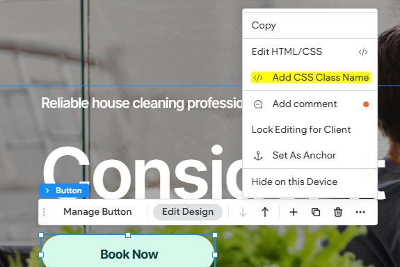 A screenshot of a website with a book now button
