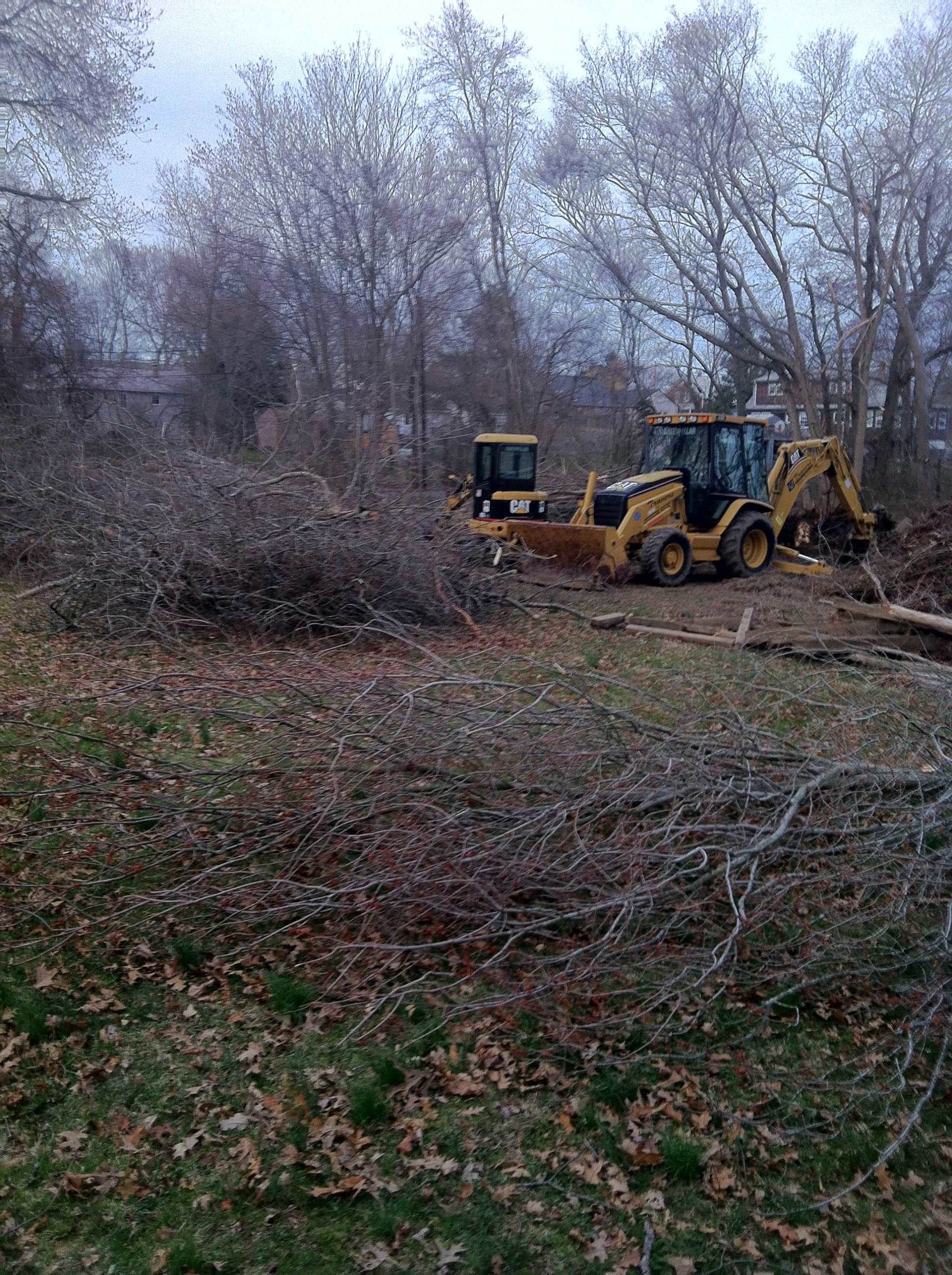 Two yellow construction vehicles clearing brush in a wooded area. Two yellow construction vehicles clearing brush in a wooded area.