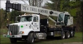 Tree Bracing — National 127' Telescoping Boom Crane in Colchester, VT