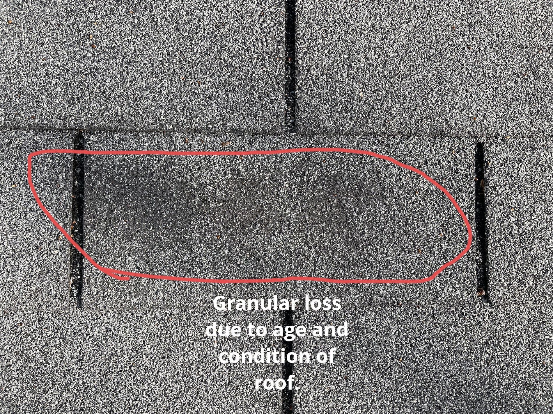 A close-up of a shingled roof with a red circle highlighting a dark, worn-out patch indicating granular loss due to age.