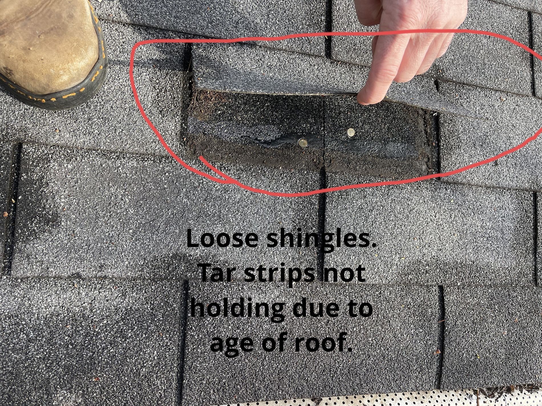 A close-up of a damaged, grey asphalt roof shingle with failed adhesive, being pointed to by a hand.