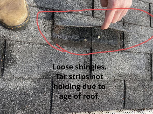 A hand points to a loose asphalt roof shingle where the adhesive tar strip has failed due to aging.